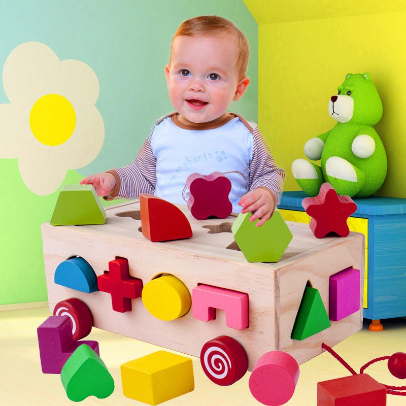 Shape Matching Building Block Set