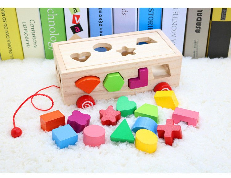 Shape Matching Building Block Set